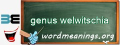 WordMeaning blackboard for genus welwitschia